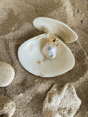 CUTE FRESHWATER BARQUE